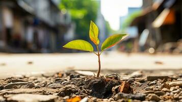 un pequeño planta es creciente en el medio de un suciedad la carretera generativo ai foto