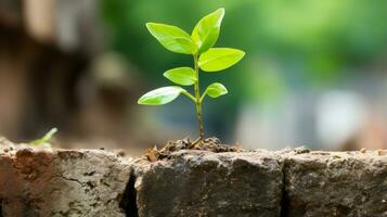 un pequeño planta es creciente fuera de un ladrillo pared generativo ai foto