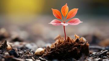 un pequeño planta es creciente fuera de el suelo generativo ai foto