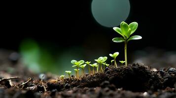 un pequeño planta brotante desde el suelo generativo ai foto