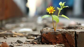 a small yellow flower growing out of a crack in a brick wall generative ai photo