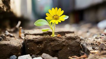 un pequeño amarillo flor es creciente fuera de un ladrillo pared generativo ai foto