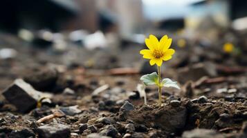 a small yellow flower is growing out of the ground generative ai photo