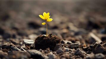 un pequeño amarillo flor es creciente fuera de el suelo generativo ai foto