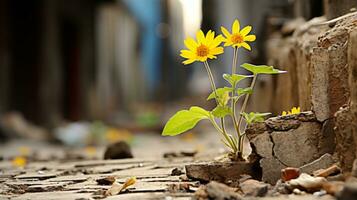 un amarillo flor creciente fuera de un grieta en el suelo generativo ai foto