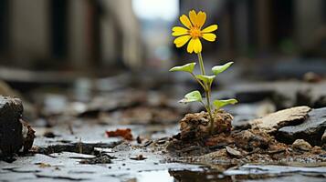 a yellow flower growing out of the ground in a puddle generative ai photo