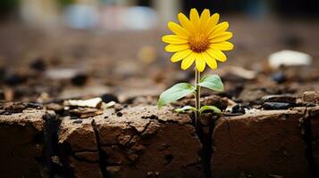 a yellow sunflower growing out of a crack in the ground generative ai photo