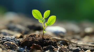 un joven planta brotante desde el suelo generativo ai foto