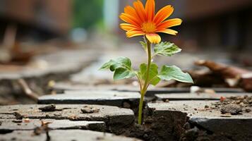 an orange flower growing out of a crack in the ground generative ai photo