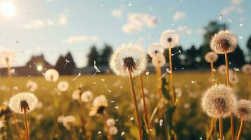 dandelions blowing in the wind on a sunny day generative ai photo