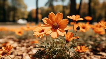 orange flowers in the middle of a field generative ai photo