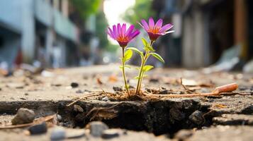 two purple flowers growing out of a crack in the ground generative ai photo