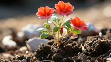 two red flowers growing out of the ground generative ai photo