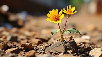 two yellow flowers growing out of the ground generative ai photo