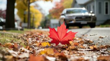 a red maple leaf laying on the ground in front of a car generative ai photo