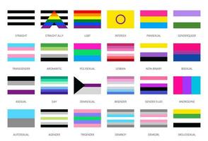 LGBT pride flags, sexual diversity rainbow symbols vector
