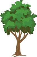 vector plano árbol ilustraciones