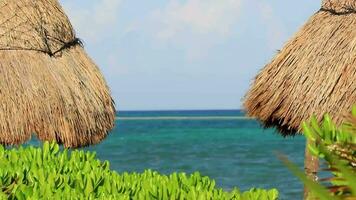 Palapa thatched roofs palms parasols sun loungers beach resort Mexico. video