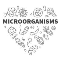 Microorganisms vector Micro Organisms concept line heart shaped banner or illustration