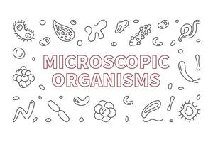 Microscopic Organisms vector Bacteriology line horizontal banner - Microorganism illustration