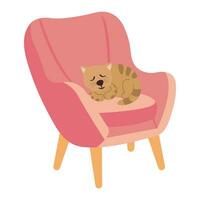dibujado a mano silla con un dormido gato. blanco fondo, aislar. vector