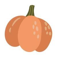 Hand-drawn pumpkin. White background, isolate. vector