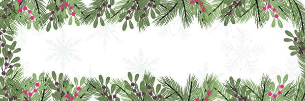 Long winter banner with pine branches and snowflakes vector