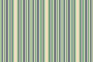 Background textile seamless of lines fabric texture with a pattern stripe vertical vector. vector