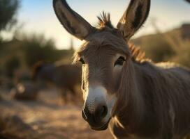 Burro retrato creado con generativo ai tecnología foto