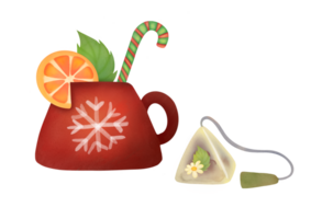 Watercolor Christmas clipart illustration on transparent background. cut out New Year winter hot drinks. vitamin chamomile tea for health, strong immunity. Homemade drink with natural herbs and orange png