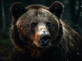 Bear portrait created with Generative AI technology photo