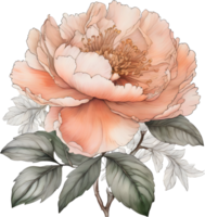 Picture of many peonies Chinese watercolor style. AI-generated. png