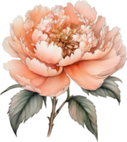 Picture of many peonies Chinese watercolor style. AI-generated. png