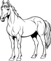 realista caballo vector ilustración