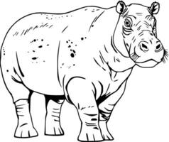 Realistic Hippo Vector Illustration