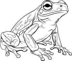 Realistic Frog Vector Illustration