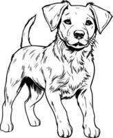 Realistic Dog Vector Illustration