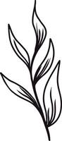 mano dibujado floral botánico íconos vector