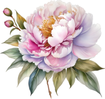 Picture of many peonies Chinese watercolor style. AI-generated. png