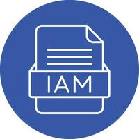 IAM File Format Vector Icon
