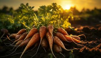 Fresh organic carrots, nature healthy harvest, grown outdoors generated by AI photo