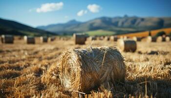 Rural scene farm meadow, haystacks, rolled up wheat, autumn harvest generated by AI photo