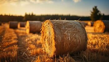 Agriculture golden growth, nature bounty, rolled hay bales generated by AI photo