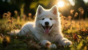 Cute puppy playing in the grass, enjoying the outdoors generated by AI photo