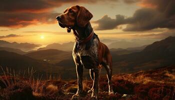 linda perrito sentado en césped, mirando a montaña pico generado por ai foto