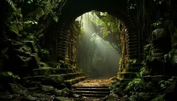 Mysterious tropical rainforest, dark and spooky, ancient beauty in nature generated by AI photo