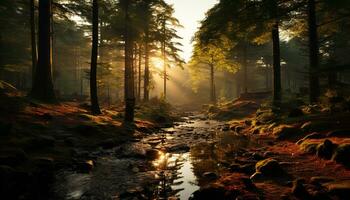 el tranquilo otoño bosque revela sus vibrante colores a amanecer generado por ai foto