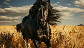 Horse running freely in a beautiful meadow at sunset generated by AI photo