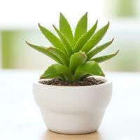 Cute Aloe Plant in a Pot With Background - AI Generated photo