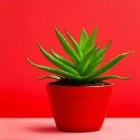 Cute Aloe Plant in a Pot With Background - AI Generated photo